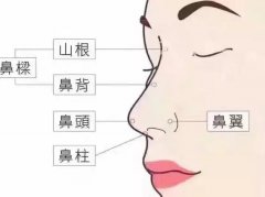 【太原欧美莲】鼻综合还分大鼻综合、小鼻综合？
